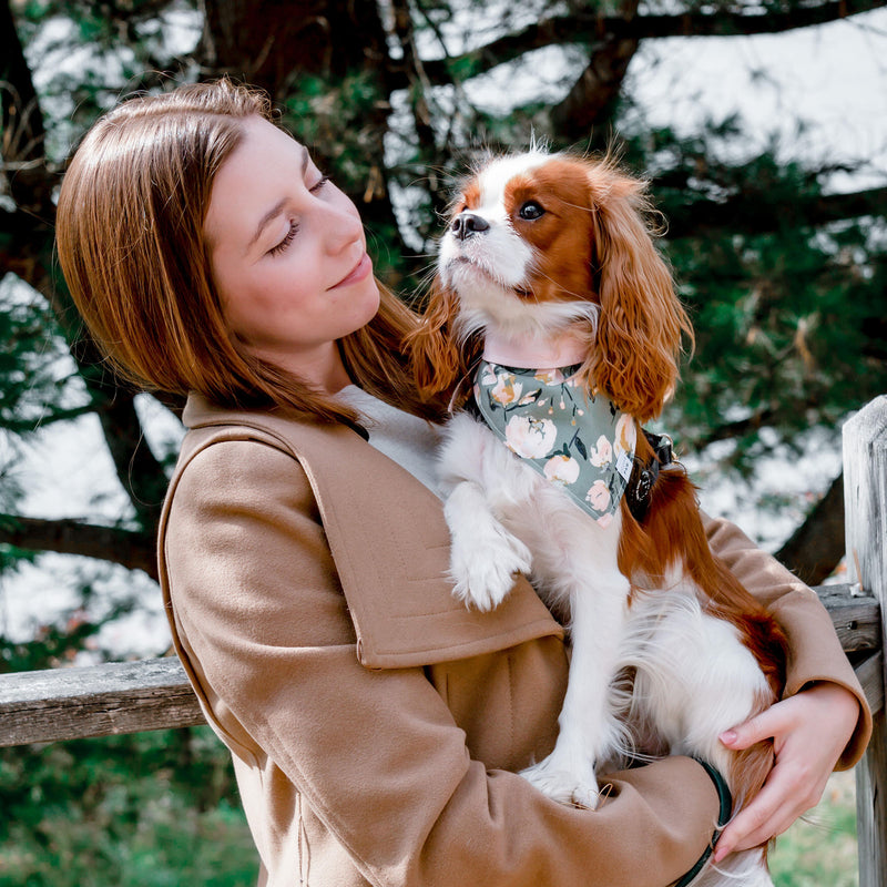 Take Center Sage Floral Dog Bandana