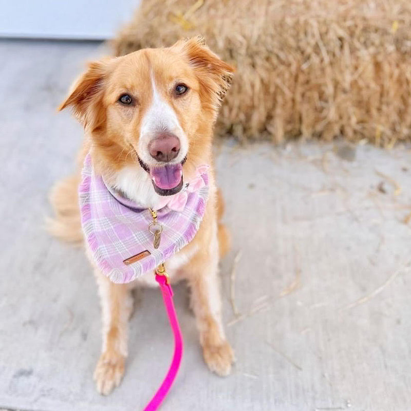 THE KATIE - Dog Flannel Fray Bandana