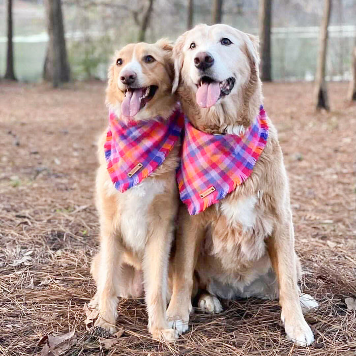 THE CALI - Dog Flannel Fray Bandana