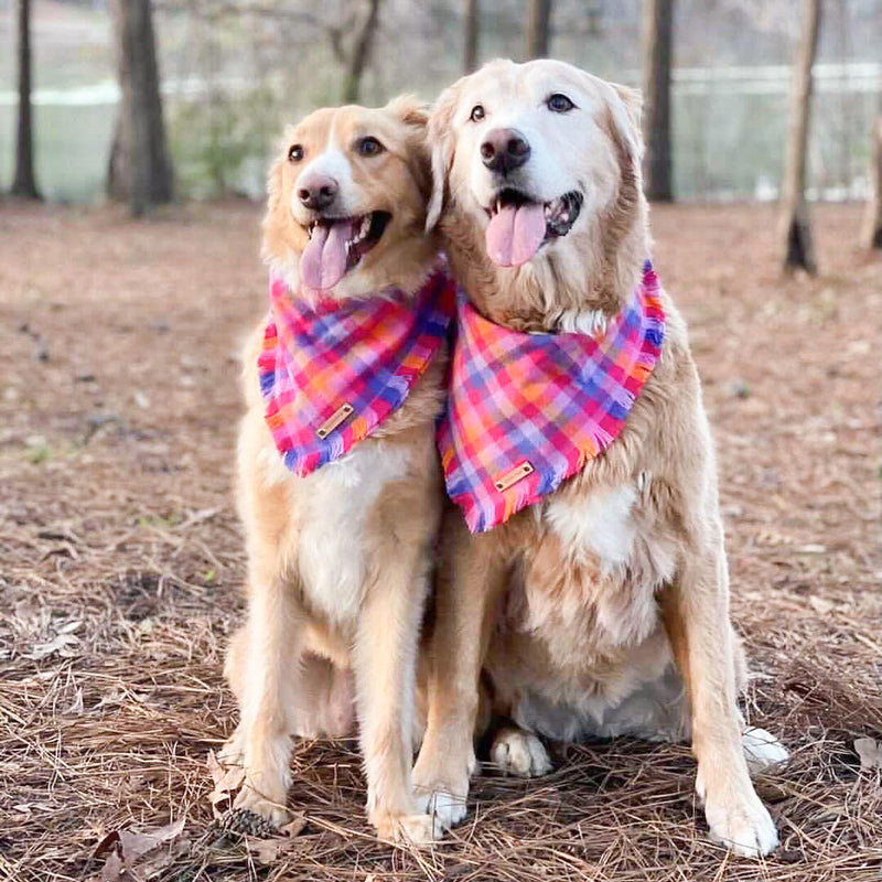 THE CALI - Dog Flannel Fray Bandana