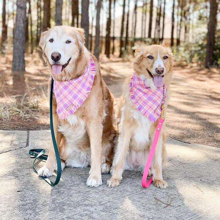 THE JOSIE - Dog Flannel Fray Bandana