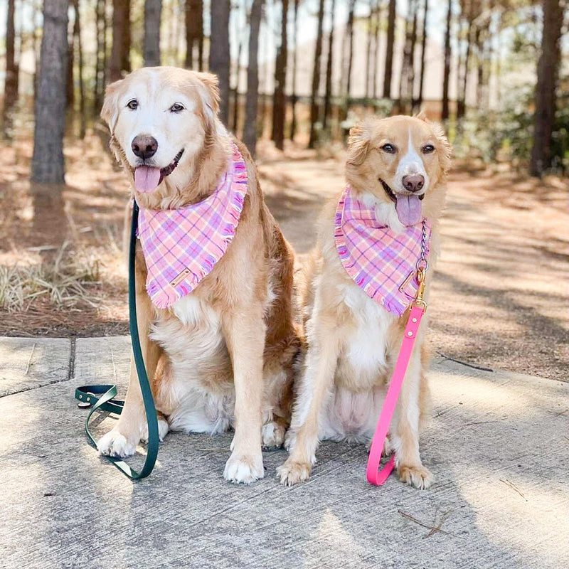 THE JOSIE - Dog Flannel Fray Bandana