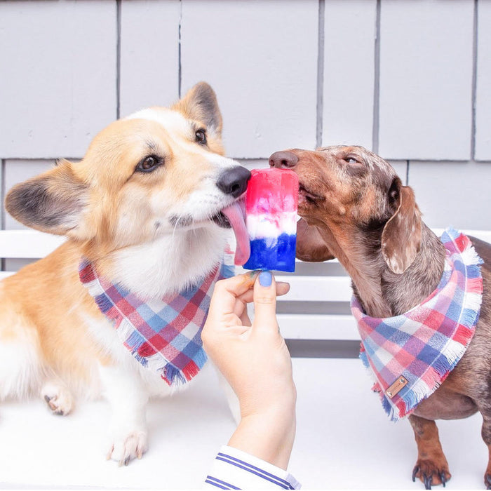 THE AMERICANA - Dog Flannel Fray Bandana