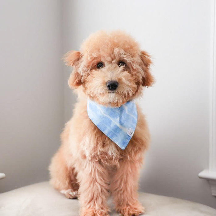 Blue Crush Dog Bandana