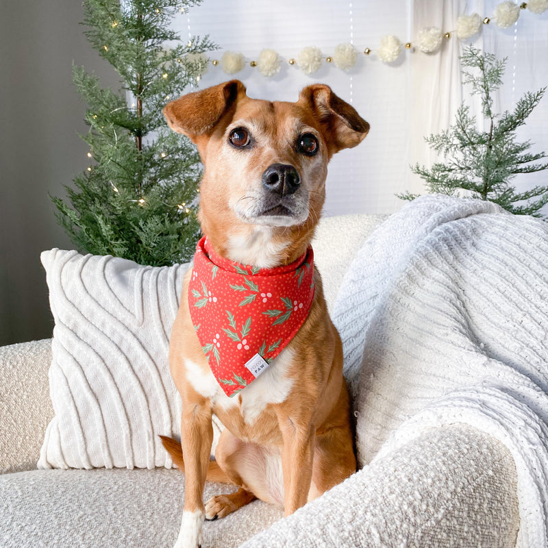 Jolly Holly Dog Bandana