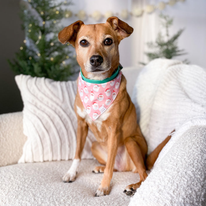 Santas United Dog Bandana