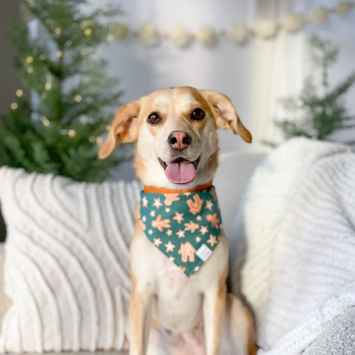 Gingerbread Gala Dog Bandana