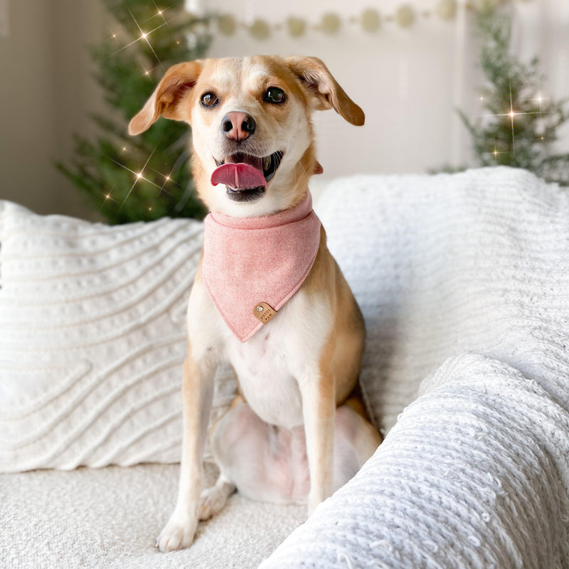 Rosé All Day Flannel Dog Bandana