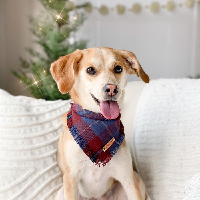 THE DALTON - Dog Flannel Fray Bandana