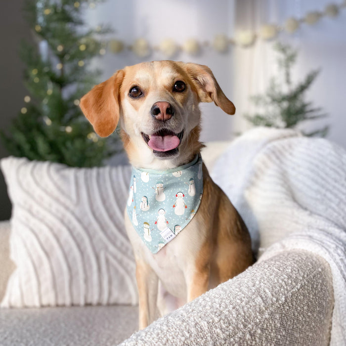 Frosty Friends Dog Bandana