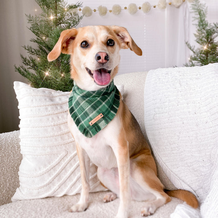 THE JUNIPER - Dog Flannel Fray Bandana