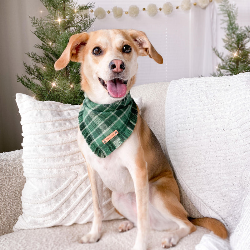 THE JUNIPER - Dog Flannel Fray Bandana