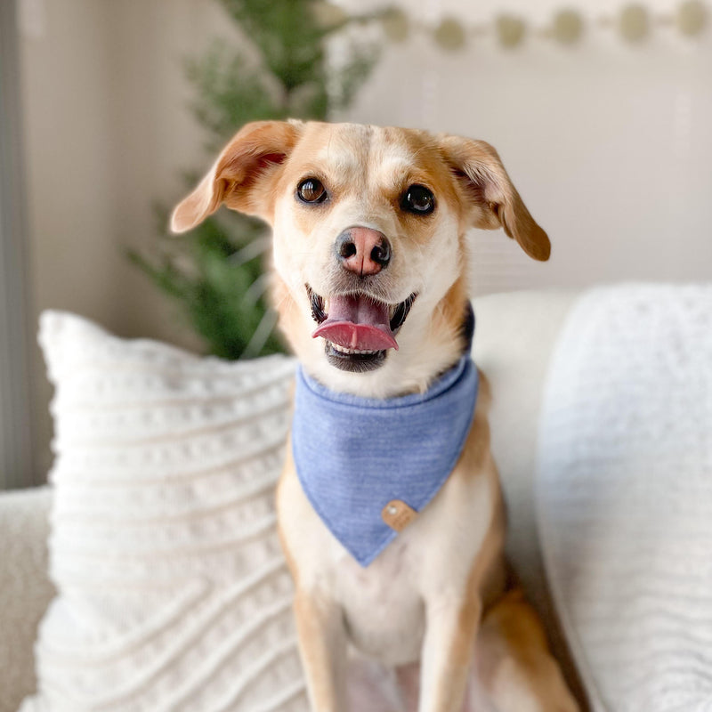 Blue Herringbone Dog Bandana