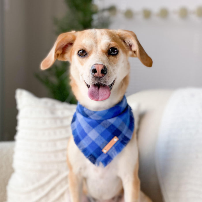 THE JOVIE - Dog Flannel Fray Bandana