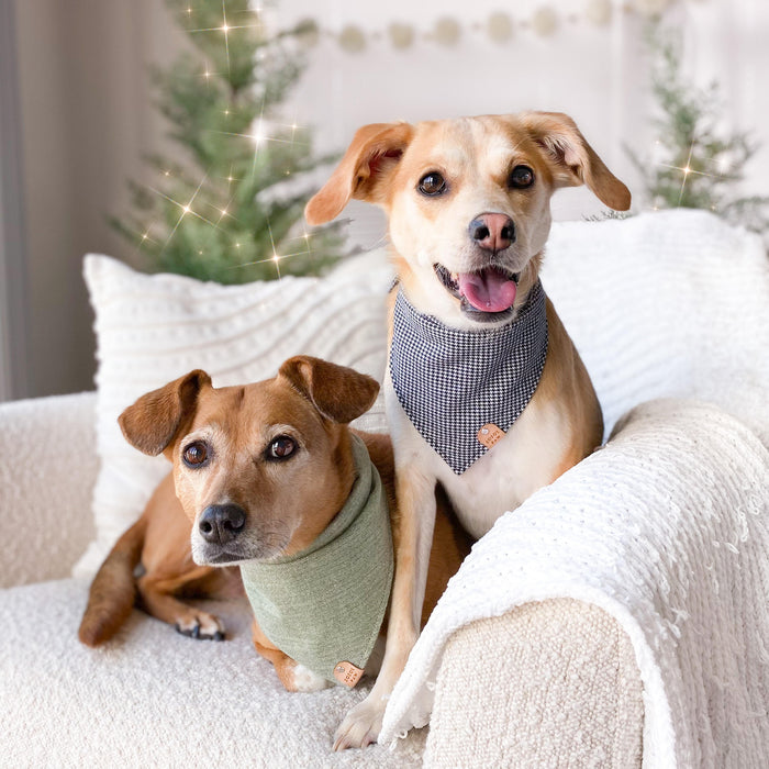 Sage Herringbone Dog Bandana