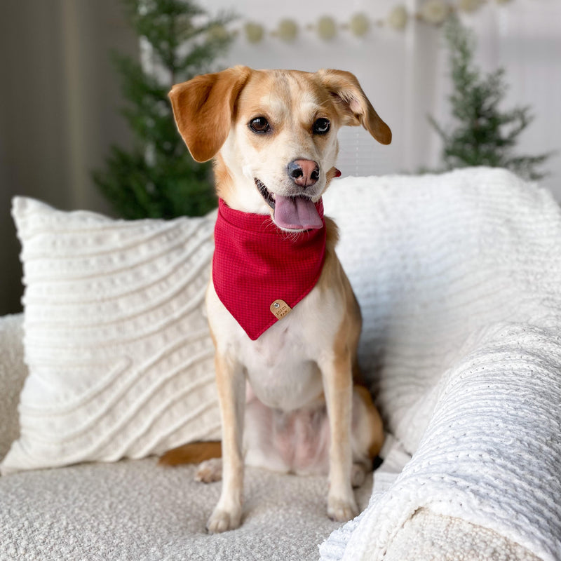 Red Houndstooth Flannel Dog Bandana