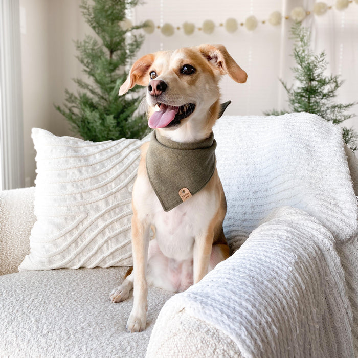 Olive Herringbone Flannel Dog Bandana