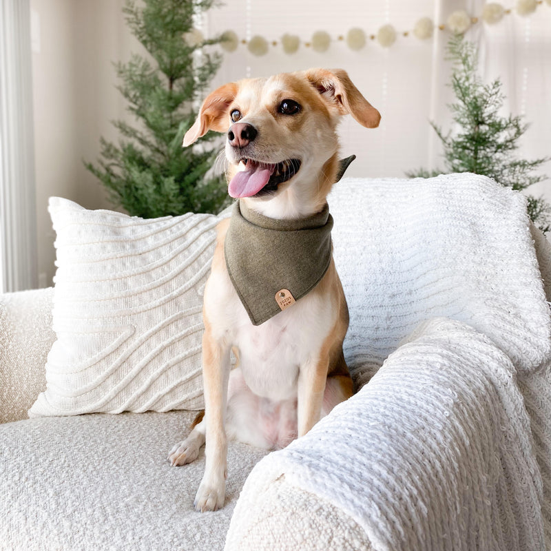 Olive Herringbone Flannel Dog Bandana