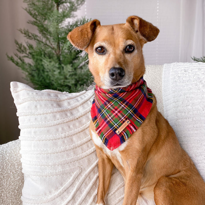 THE MERRY - Dog Flannel Fray Bandana