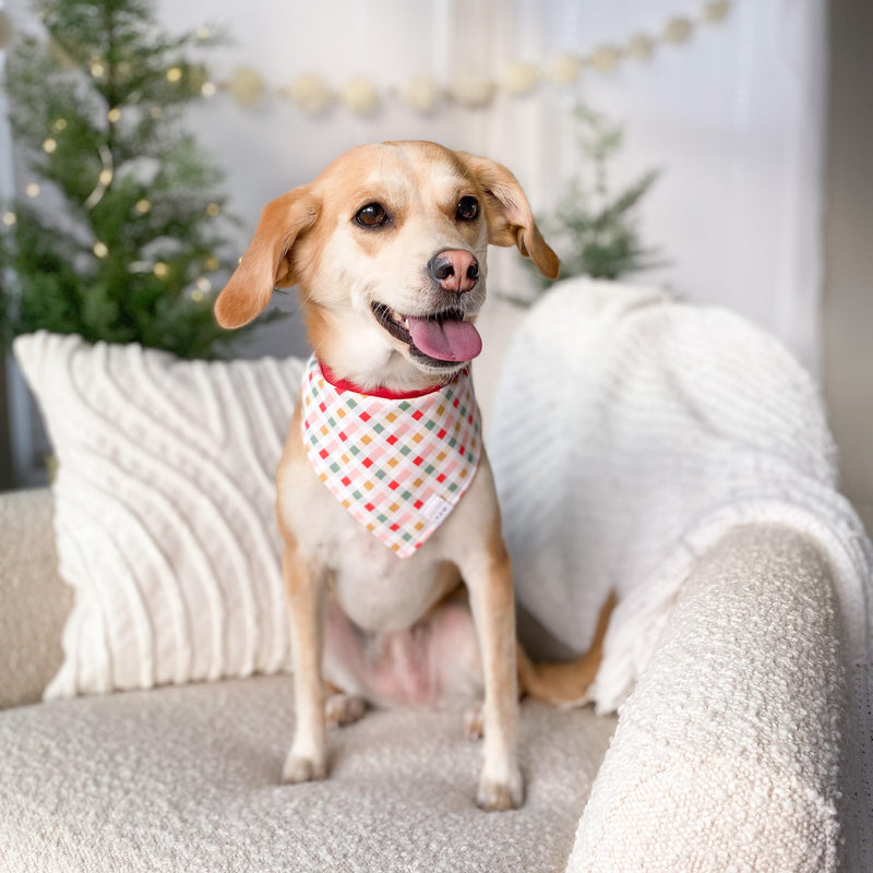 Noel Plaid Dog Bandana