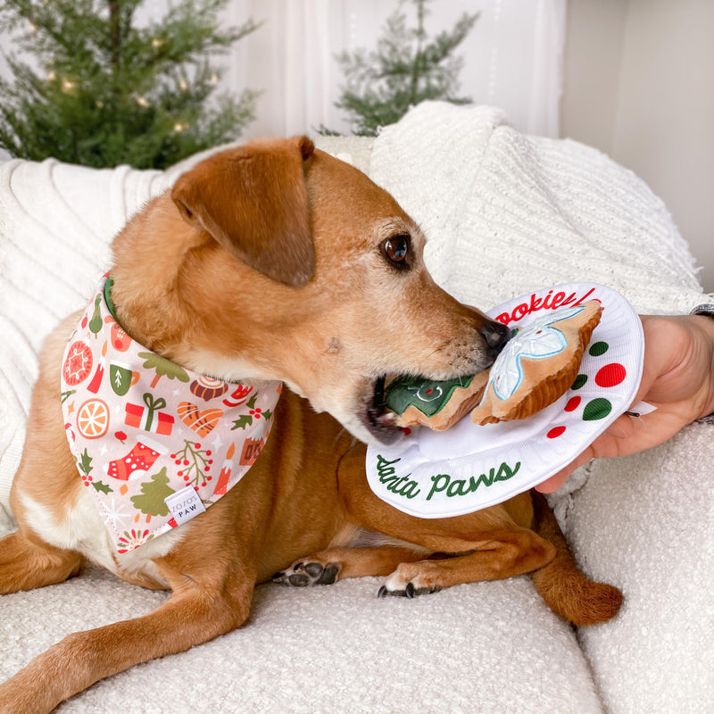 Christmas Collage Dog Bandana