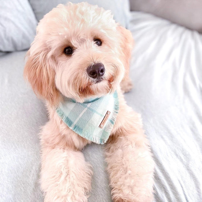 THE PACIFIC - Dog Flannel Fray Bandana