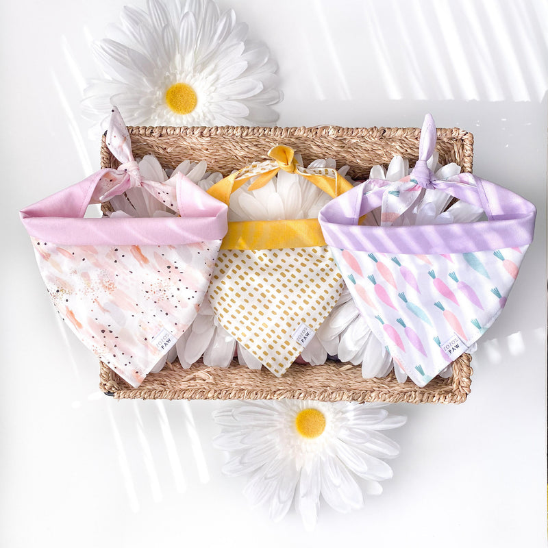 Golden Hour Dog Bandana