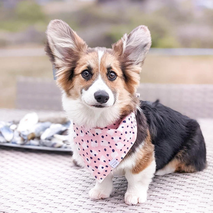 Spotted in the Wild Dog Bandana