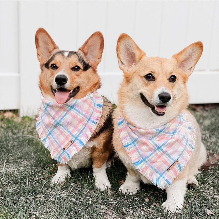 THE BAILEY - Dog Flannel Fray Bandana