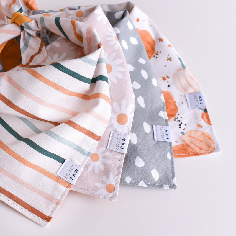 Autumn Stripes Dog Bandana