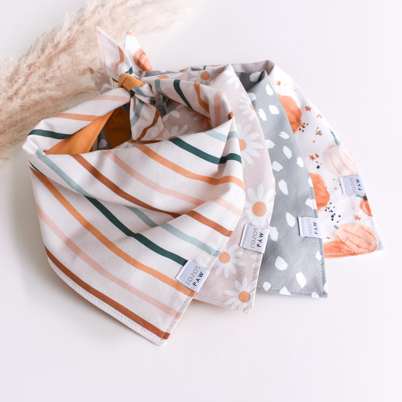 Autumn Stripes Dog Bandana