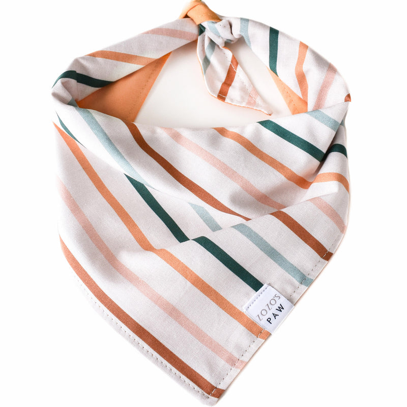 Autumn Stripes Dog Bandana
