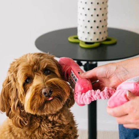 Paw Talk Dog Toy