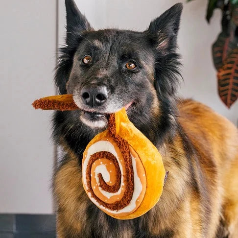 Cinna-Bone Dog Toy