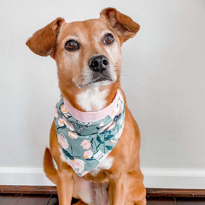 Take Center Sage Floral Dog Bandana