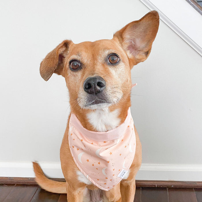 Pink Twilight Dog Bandana