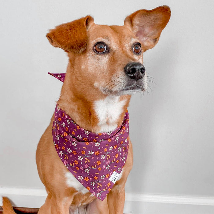 Autumn Berry Floral Dog Bandana