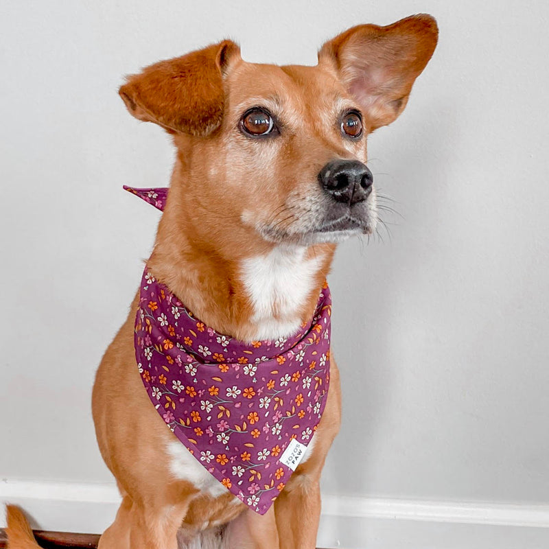 Autumn Berry Floral Dog Bandana