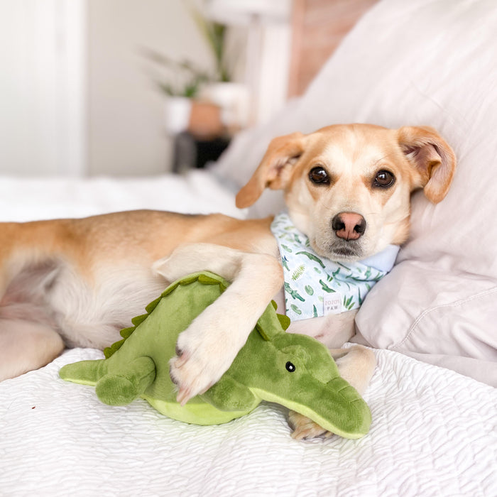 Later Alligator Dog Bandana