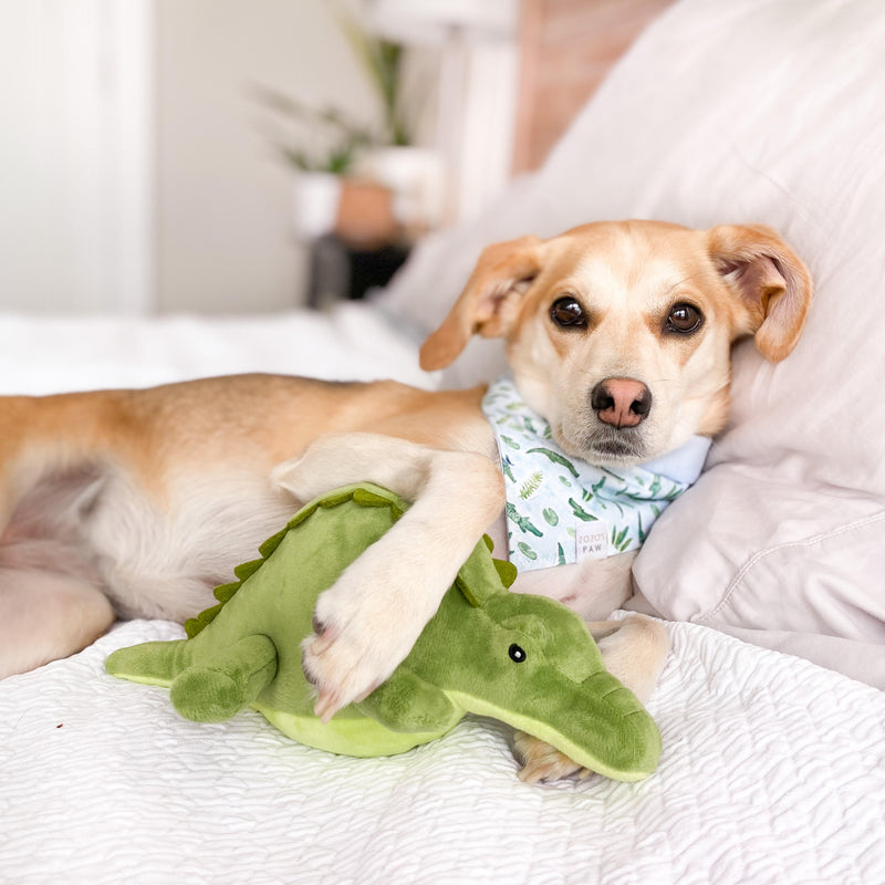 Crocodile Dog Toy