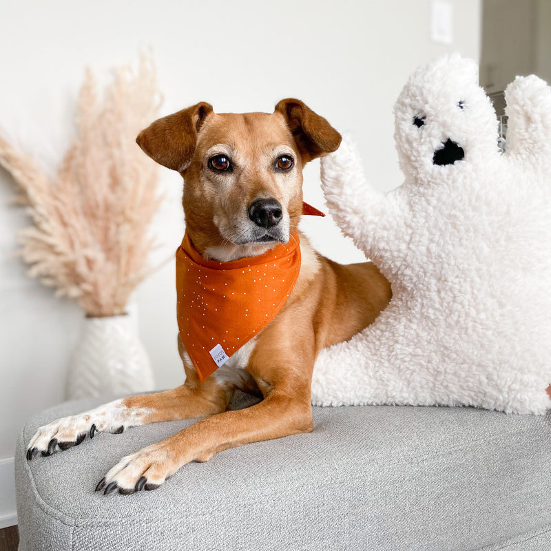 Spiced Dots Dog Bandana
