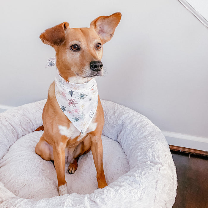 Winter Wonderland Dog Bandana