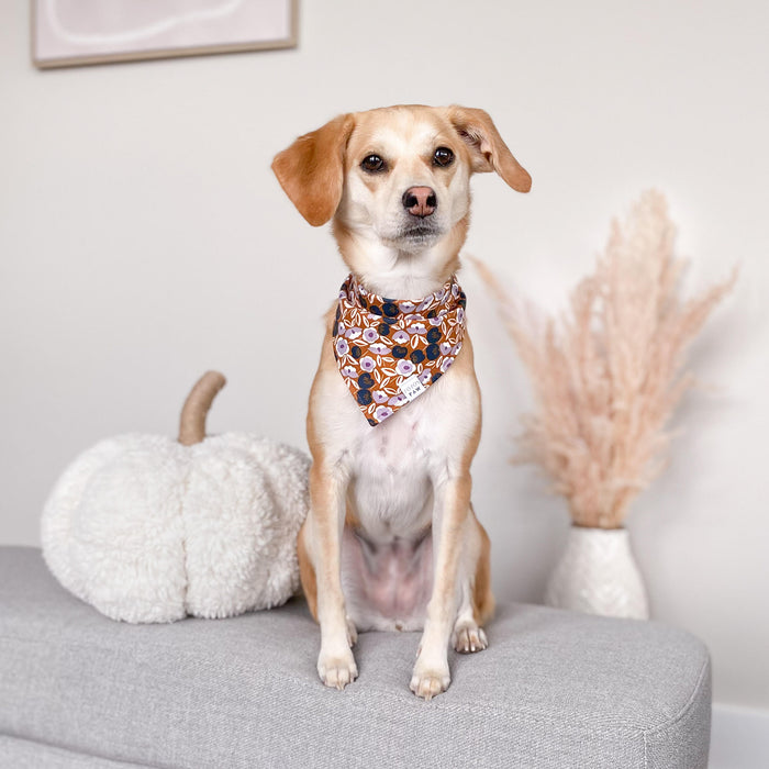Evening Blossoms Dog Bandana