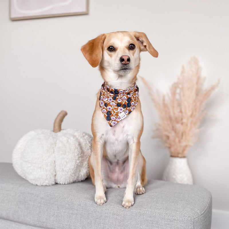 Evening Blossoms Dog Bandana