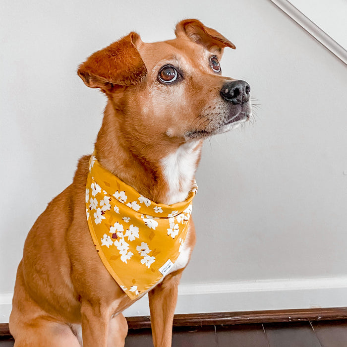 Mustard Magnolia Dog Bandana