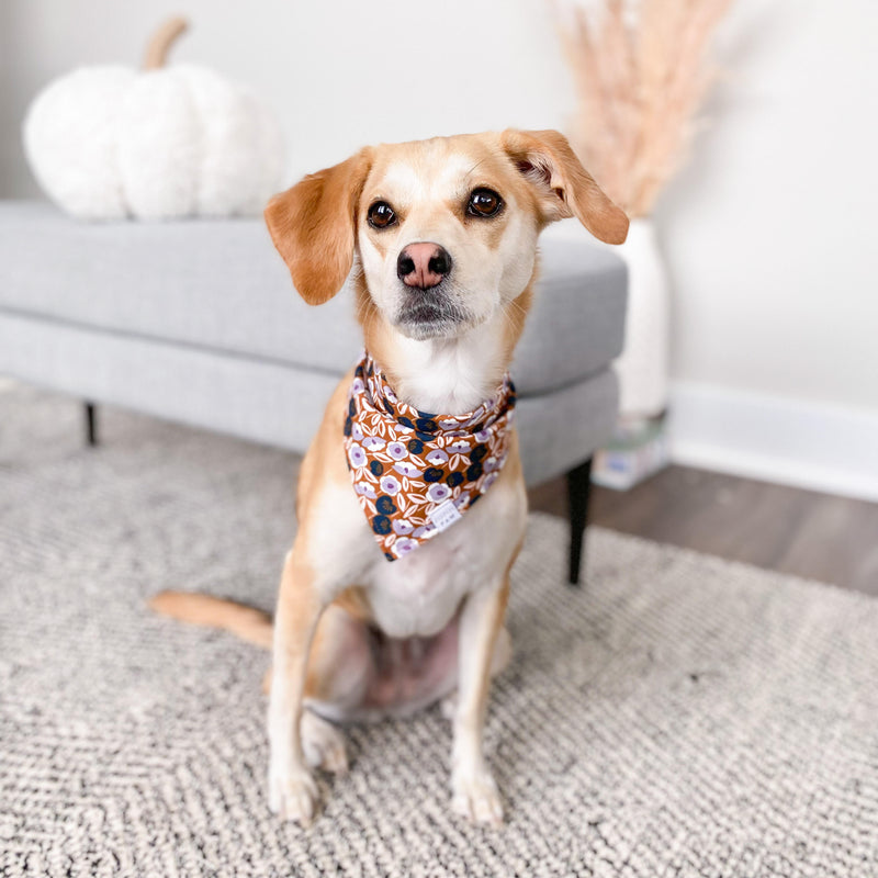 Evening Blossoms Dog Bandana