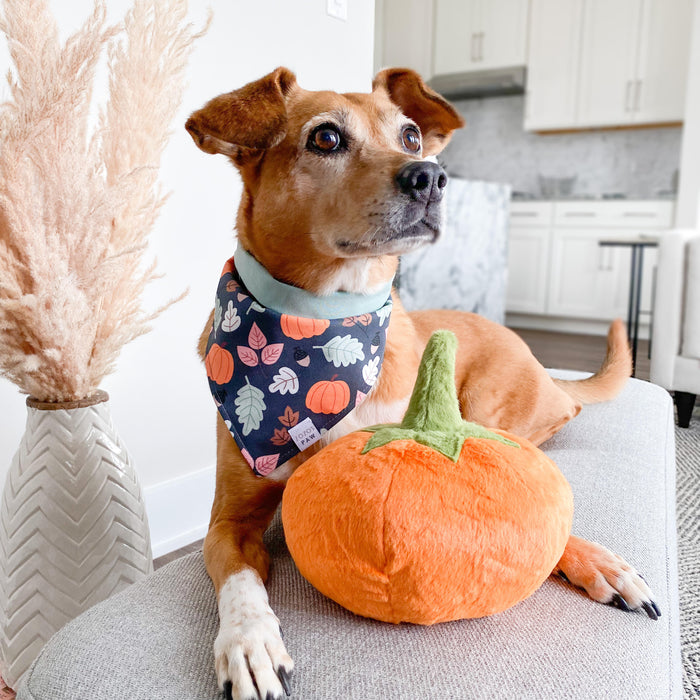 Happy Harvest Dog Bandana