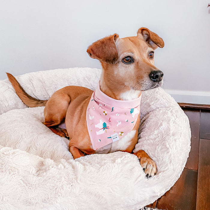 Pink Polar Express Dog Bandana