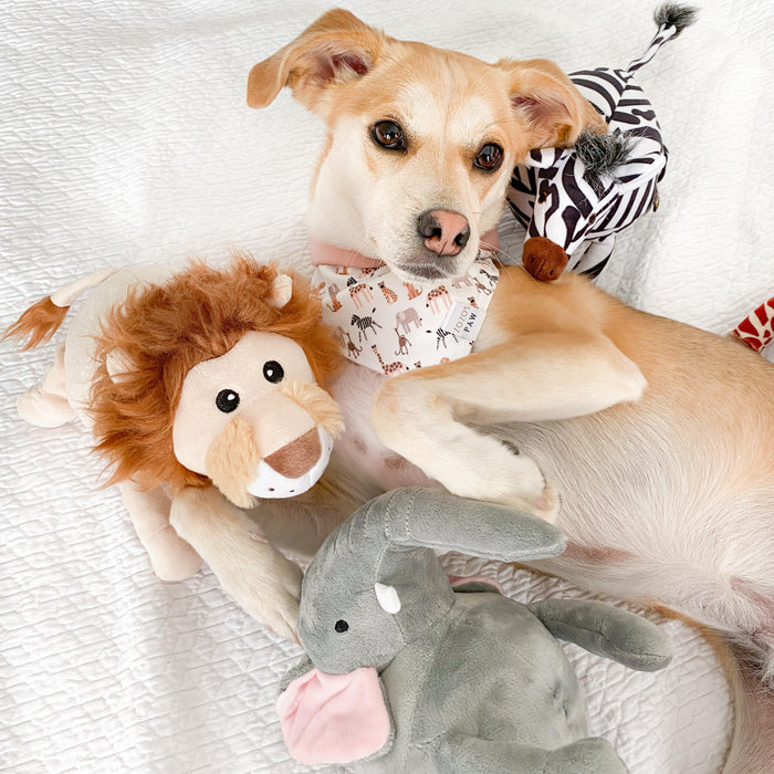 Wild Ones Dog Bandana