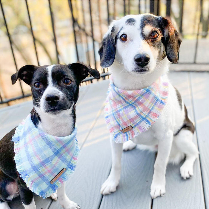 THE BAILEY - Dog Flannel Fray Bandana